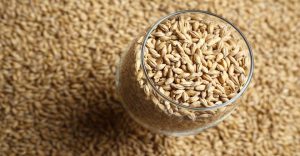 了解这几点，鉴别麦芽质量的好坏不是问题