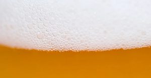 没有酵母的啤酒，何谈啤酒