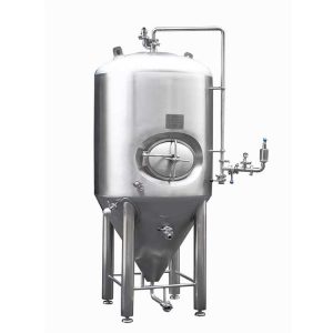 山东精鹰-100L 定制家酿/自酿啤酒设备