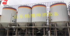 精酿啤酒设备酿造的啤酒你更适合喝哪种？