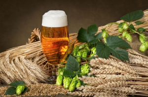 啤酒泡沫如何产生？为什么很久都消散不掉？