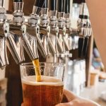 不同因素对酵母的影响