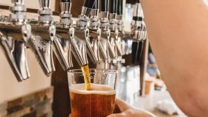 不同因素对酵母的影响