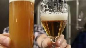 啤酒胶体浑浊形成因素及预防措施