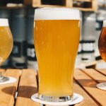 如何选择啤酒酵母菌种？