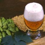 啤酒中微生物污染引起的口味缺陷