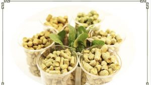 酒花制品的类型介绍