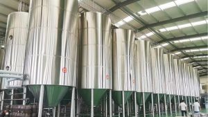 如何选择和配置五吨精酿啤酒设备？