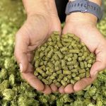 酒花制品如何选择？